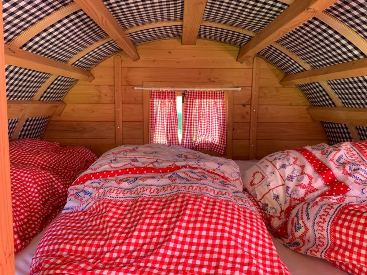 Bladel #Glamping@De Verloren Sinjoor מראה חיצוני תמונה